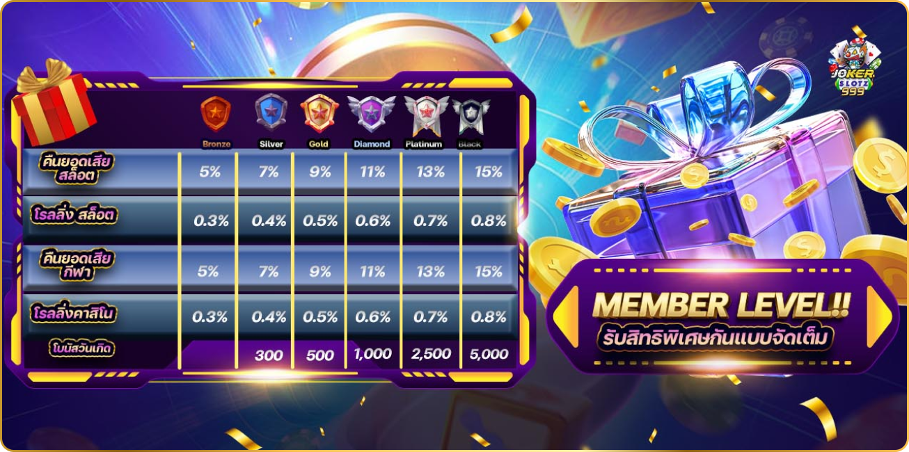 mEMBER LEVEL-1306x636